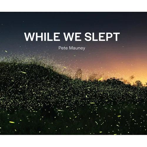 While We Slept
