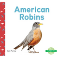 American Robins