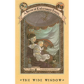 Wide Window