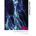 On the Meaning of Life