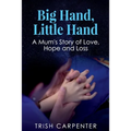 Big Hand, Little Hand: A Mum's Story of Love, Hope and Loss