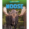 Moose