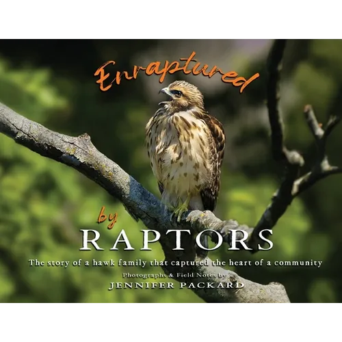 Enraptured by Raptors: The story of a hawk family that captured the heart of a community