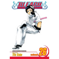 Bleach, Vol. 26