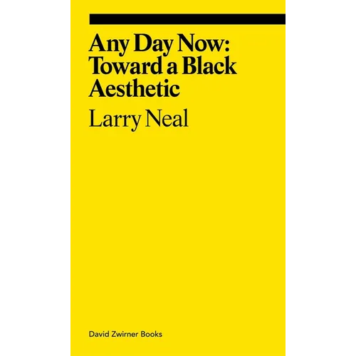 Any Day Now: Toward a Black Aesthetic