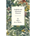 English and American Flowers