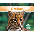Ocelote (Ocelot)