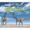 Diplodocus