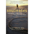 Soulmates: Following Inner Guidance to the Relationship of Your Dreams