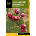 Sonoran Desert Wildflowers