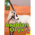 Arabian Oryx