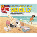 What Lives in a Shell?