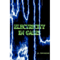Electricity in Gases (High Voltage Physics Series)