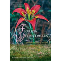 Florida Wildflowers: A Comprehensive Guide