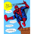 STEVE DITKO IN THE 1960s: In His Own Words, In His Interviews, In the Words of the Fans Who Knew Him