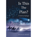 Is This the Plan?: A Nativity Epilogue