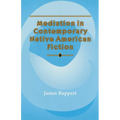 Mediation in Contemporary Native American Fiction: Volume 15