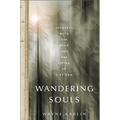 Wandering Souls: Journeys with the Dead and the Living in Vietnam