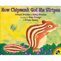 How Chipmunk Got His Stripes: A Tale of Bragging and Teasing