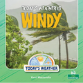 Today's Weather Is Windy