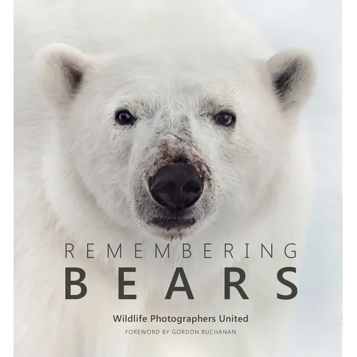 Remembering Bears