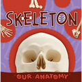 Skeleton
