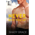 Never Give You Up