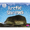 Arctic Shrews