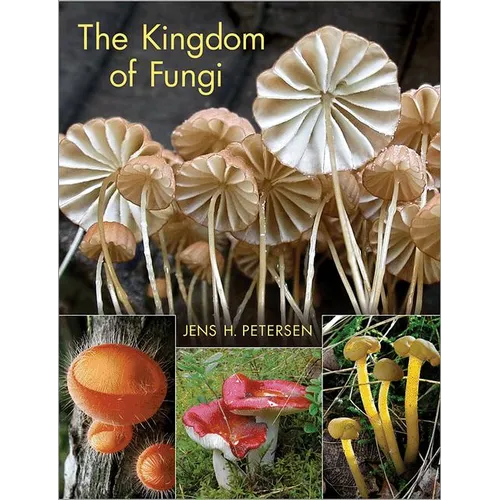 The Kingdom of Fungi
