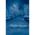 Night Snow