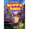 Brown Bats