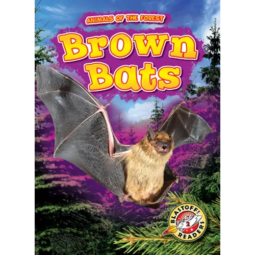 Brown Bats