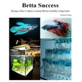 Betta Success: Doing what it takes to keep Bettas healthy long-term