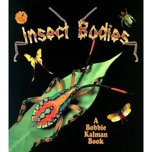 Insect Bodies
