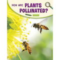 How Are Plants Pollinated?