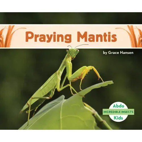 Praying Mantis