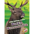Rocky Mountain Elk