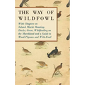 The Way of Wildfowl - With Chapters on Inland Marsh Shooting, Ducks, Geese, Wildfowling on the Marshland and a Guide to Wood-Pigeons and Wild-Fowl