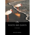 White Ibis Dawn