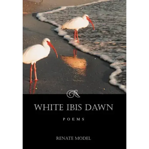White Ibis Dawn