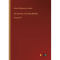 The Sorrows of Young Werther: in large print