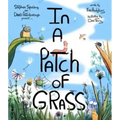 In a Patch of Grass