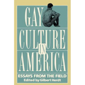 Gay Culture in America: Essays from the Field