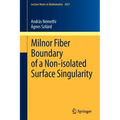 Milnor Fiber Boundary of a Non-Isolated Surface Singularity