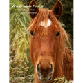 Wild and Free: Horses of the Outer Banks