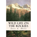 Wild Life on the Rockies