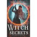 Witch Secrets: A Fantasy Young Adult Series