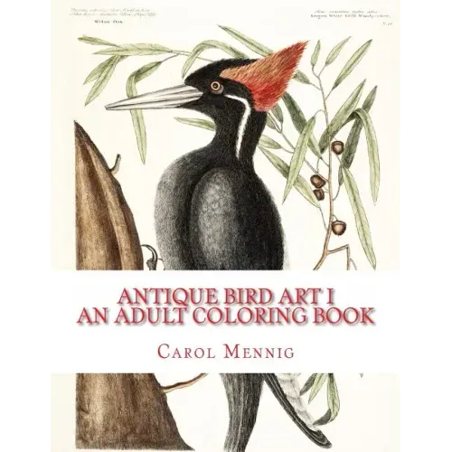 Antique Bird Art I: An Adult Coloring Book