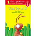 What Day Is It?