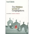 The Hidden Lives of Congregations: Discerning Church Dynamics